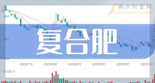 復(fù)合肥龍頭上市公司 共四家 2024 8 23